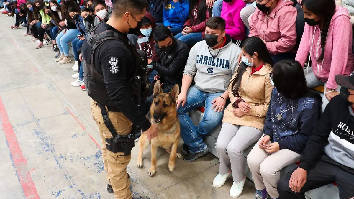 SEGURIDAD MUNICIPAL